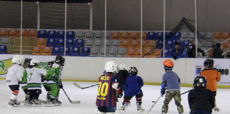 Шаардык муз аянты беш жылдыгын белгиледи