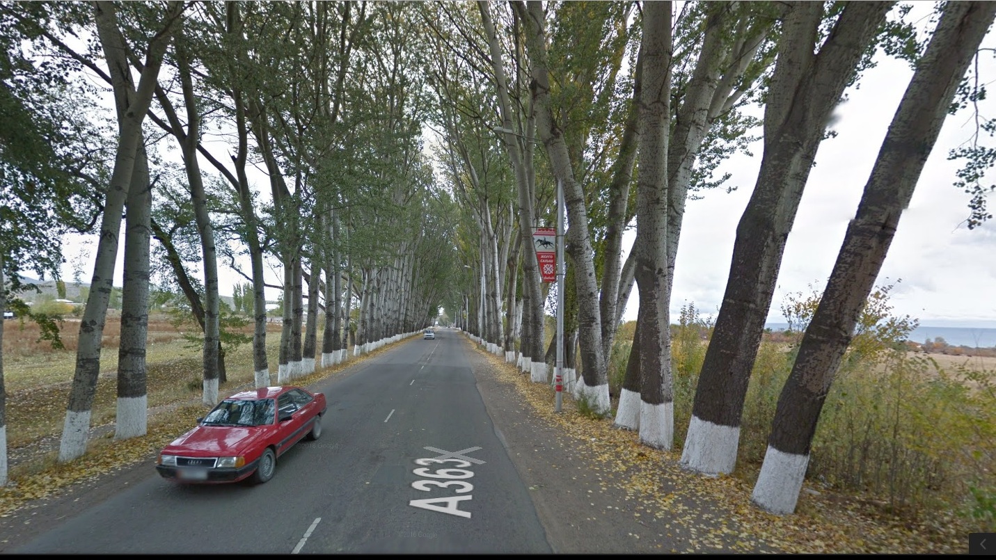 Ысык-Көлдөгү Раппопорт аллеясы Google Street View сервисинде