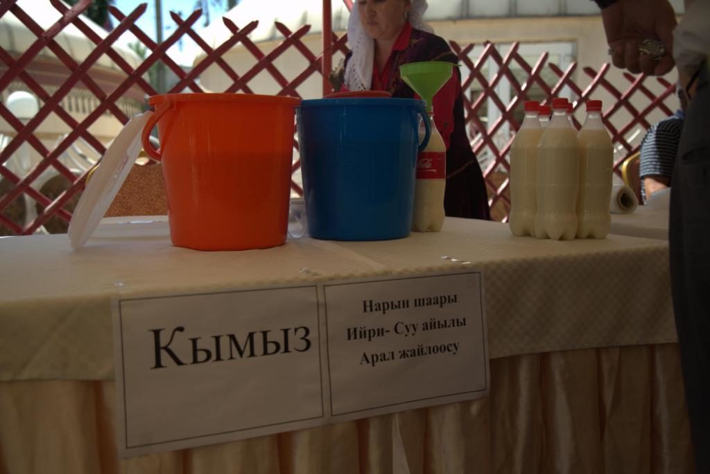 KymyzFest_Bishkek (12)