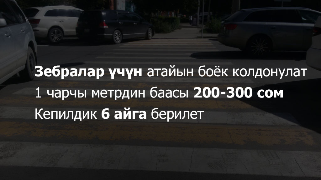 Bishkek_crosswalk 3