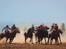 Сүрөт баян: Көк бөрү боюнча Дүйнө кубогунун финалдык беттеши