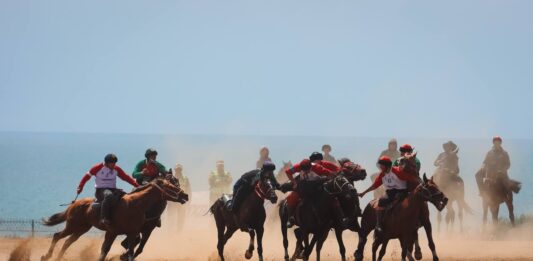 Сүрөт баян: Көк бөрү боюнча Дүйнө кубогунун финалдык беттеши